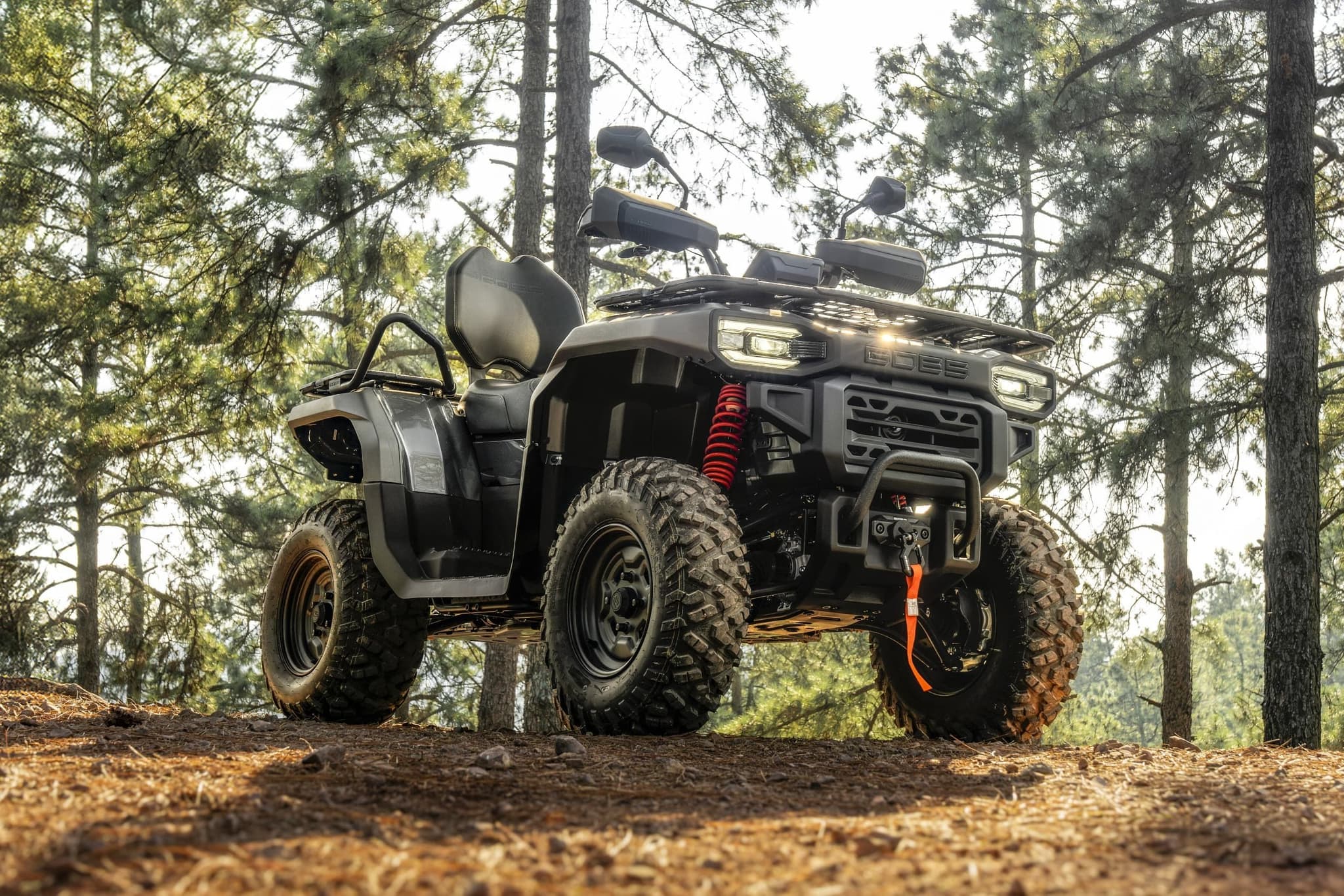 GOES - CFMOTO