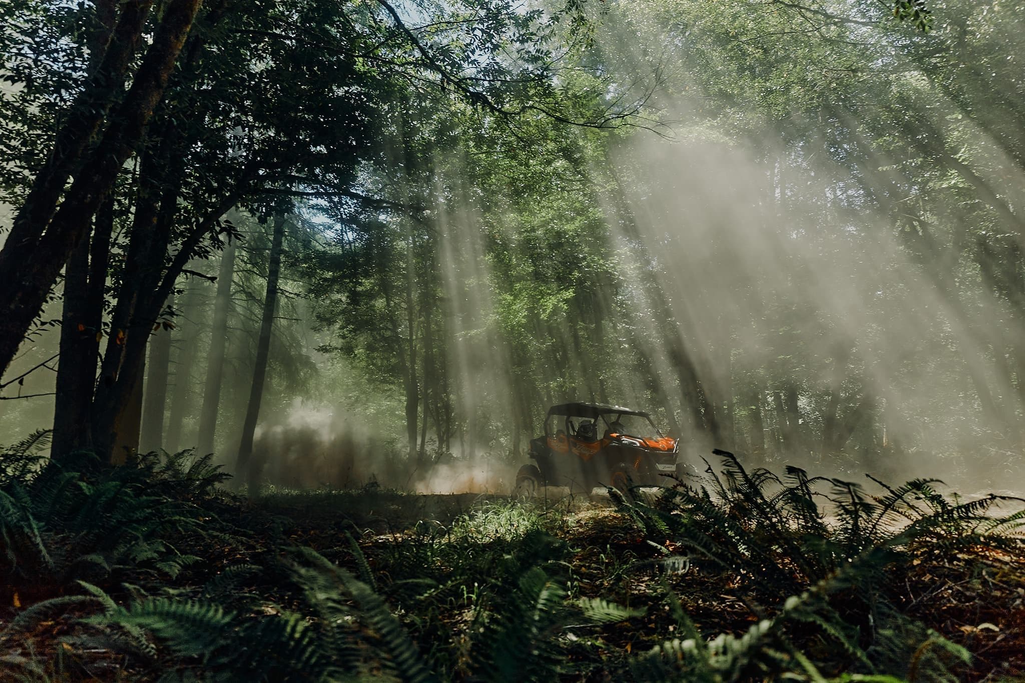 强劲动力，探险自然